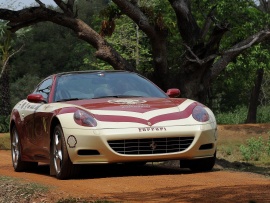 Ferrari india nature Ferrari india nature (click to view)