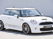 Hamann mini