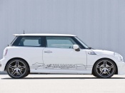 Hamann mini side
