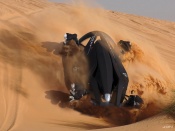 Mitsubishi mmr25 sand